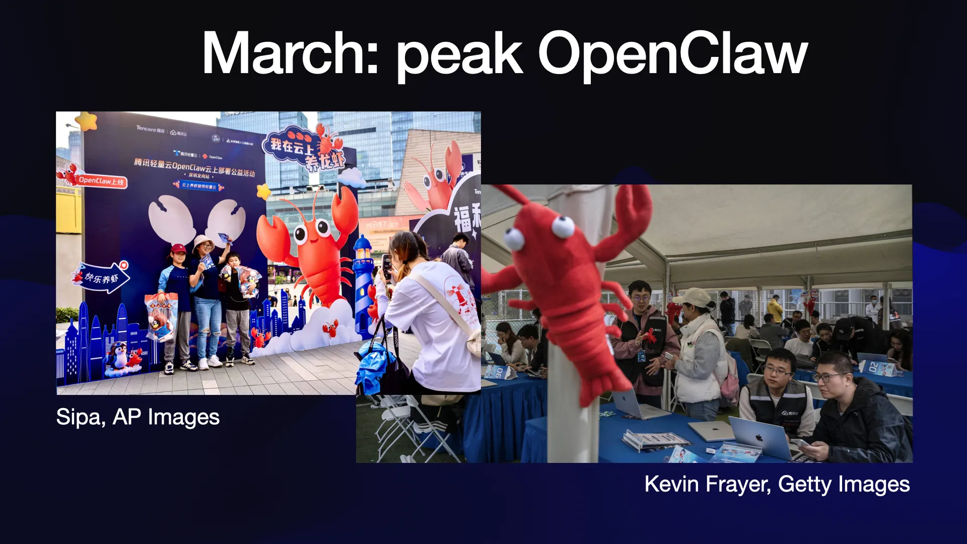 March: peak OpenClaw Photos of people in china queuing up to install OpenClaw, with big fluffy lobsters.