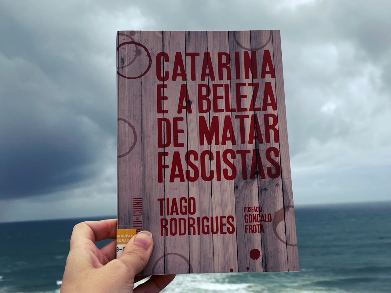 catarina-e-a-beleza-de-matar-fascistas-mar-maio.pn