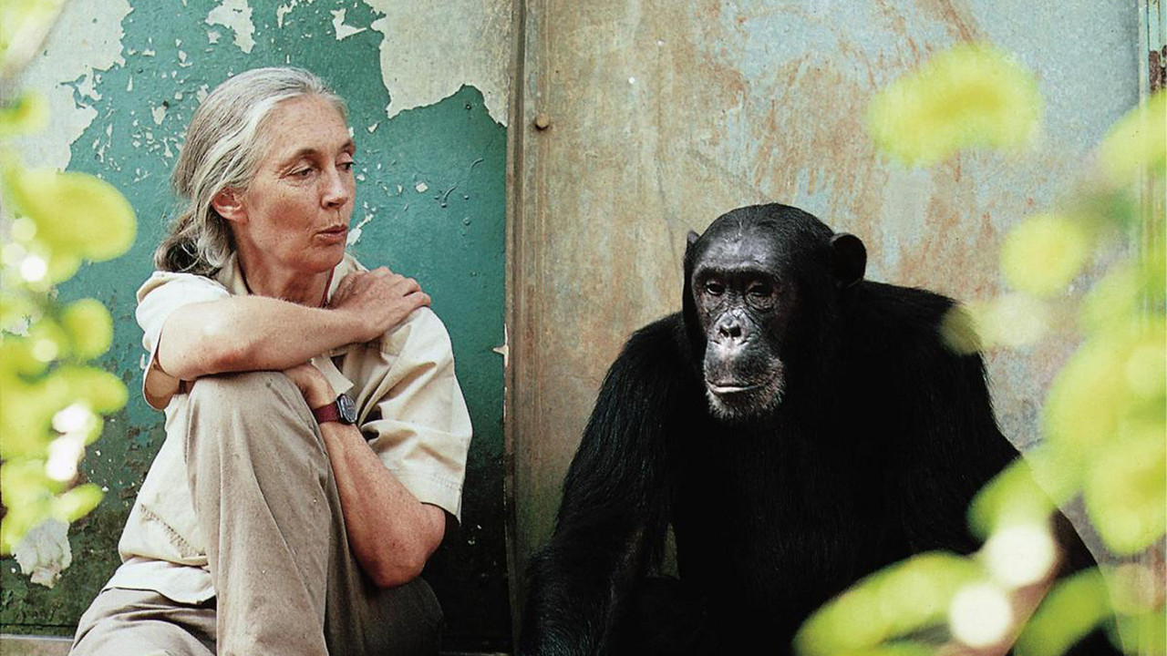 jane-goodall.jpg