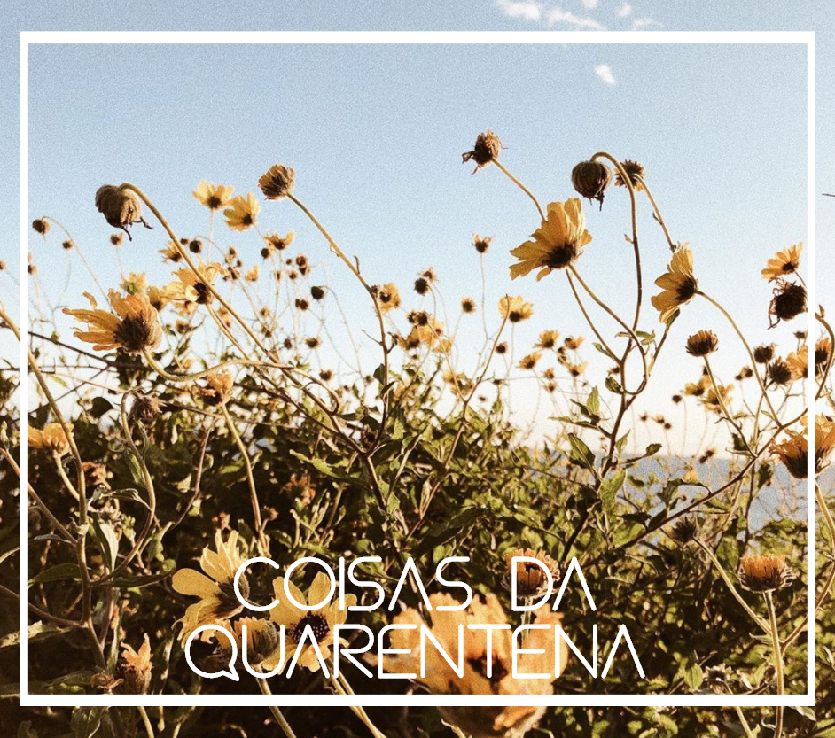 coisas-quarentena-mar-maio.png