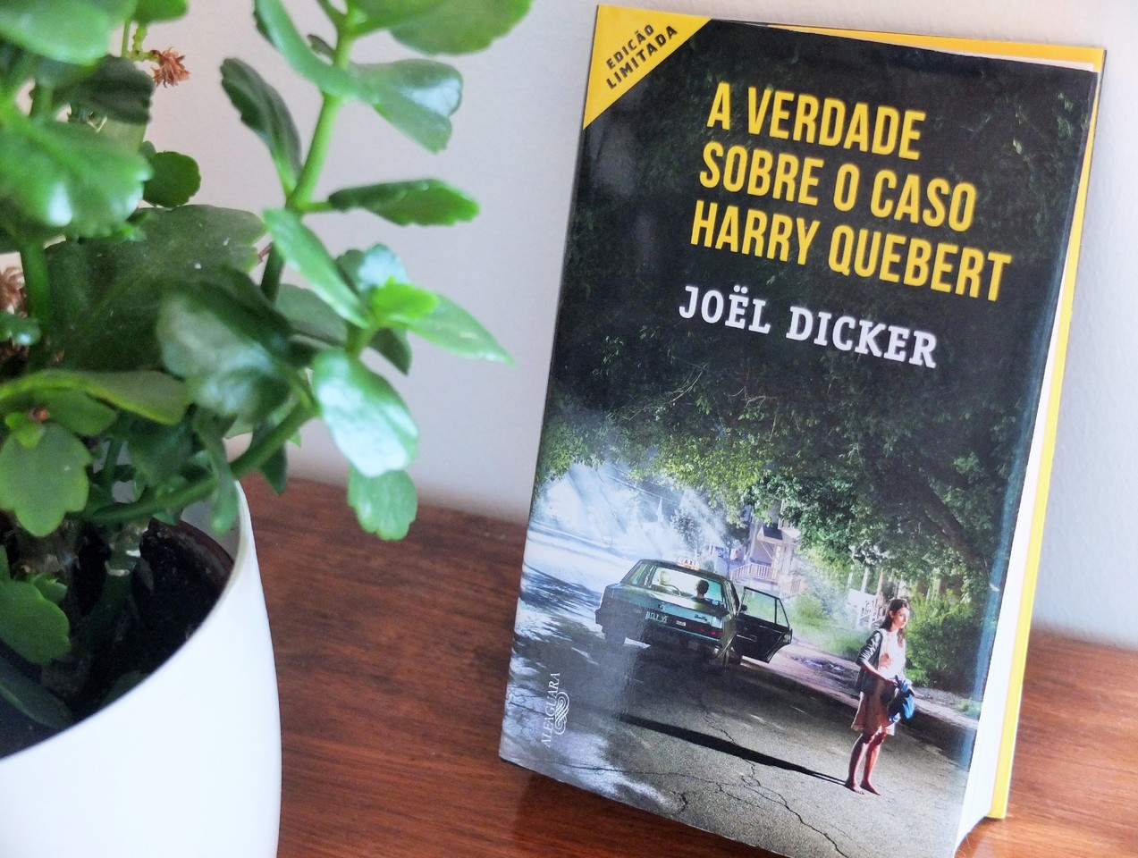 A verdade sobre o caso Harry Quebert.JPG