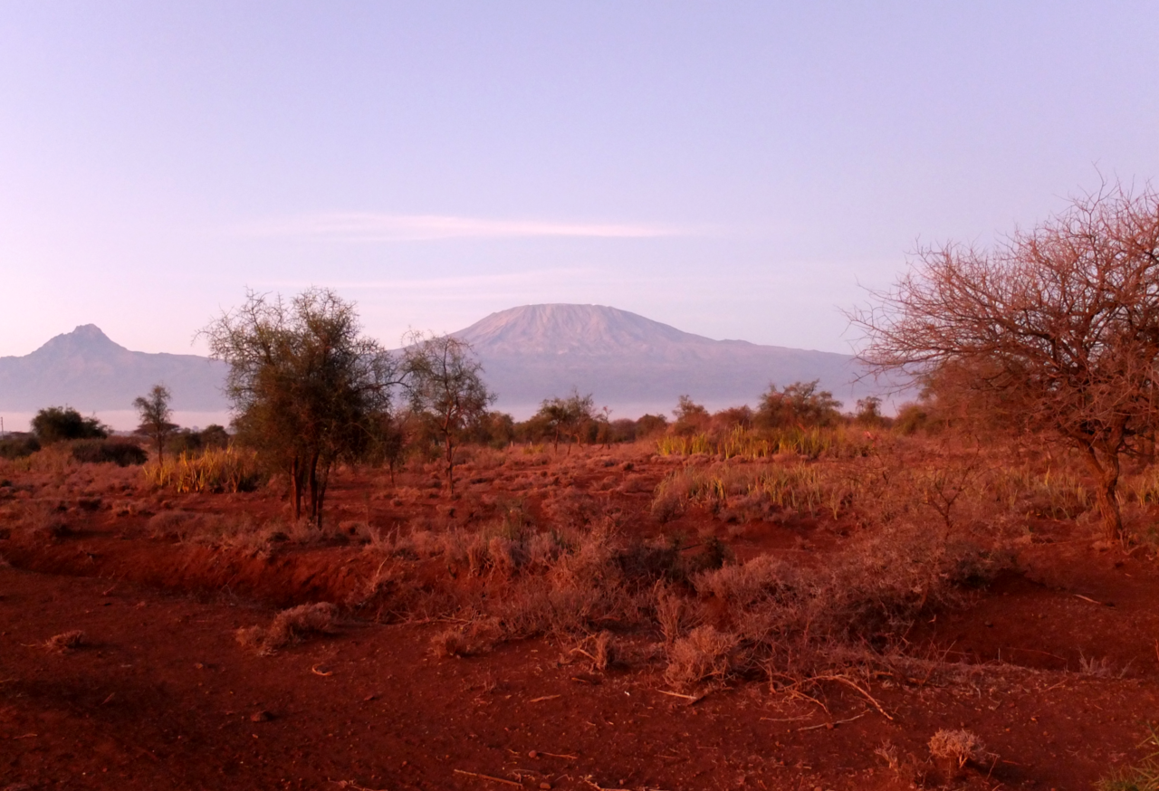 kilimanjaro.png