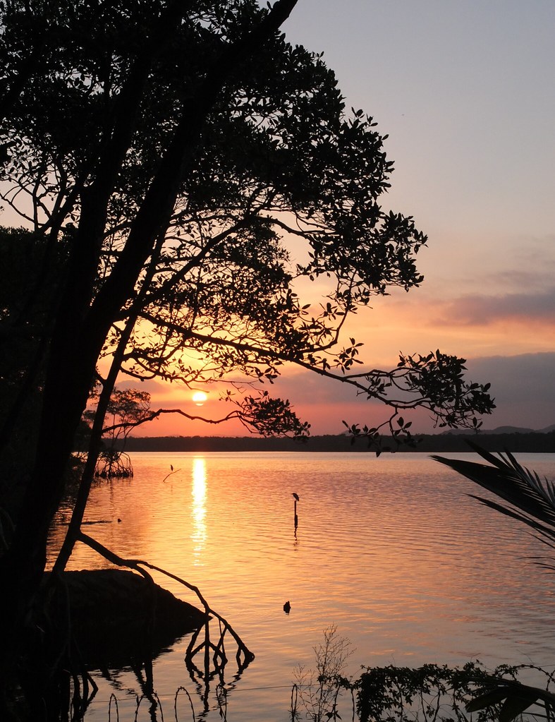 vista-casa-flutuante