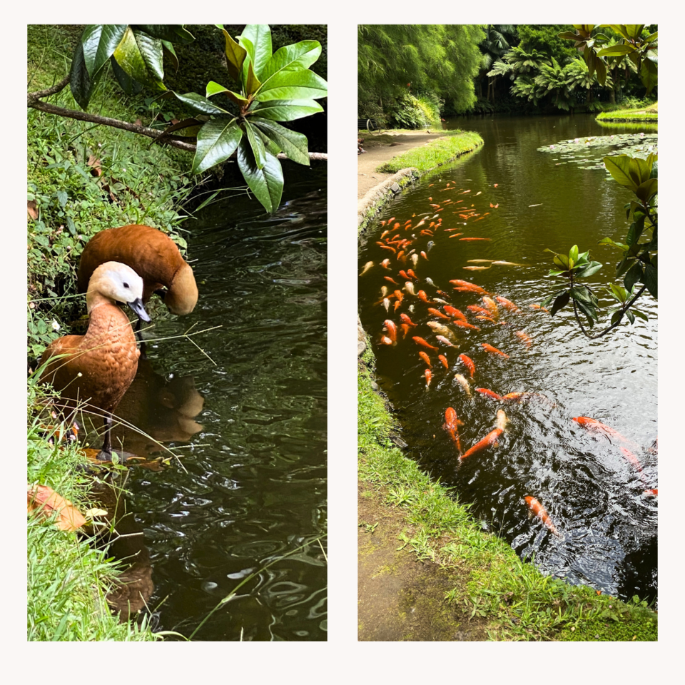 Design sem nome (2).png