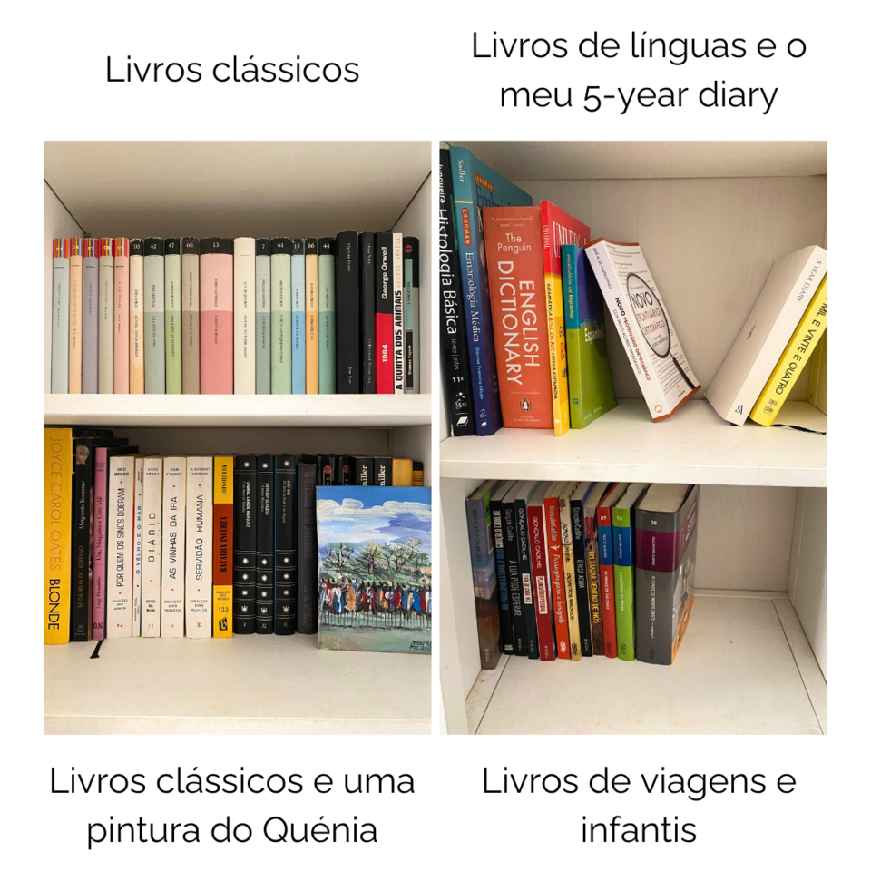 Colecção da visão.png