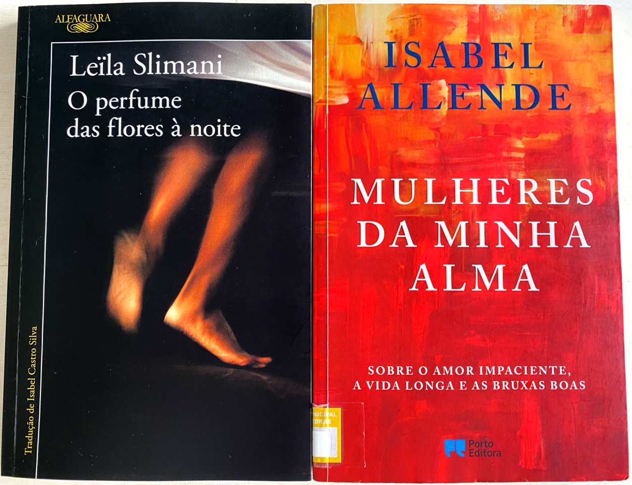 isabel-allende-leila-slimani.png