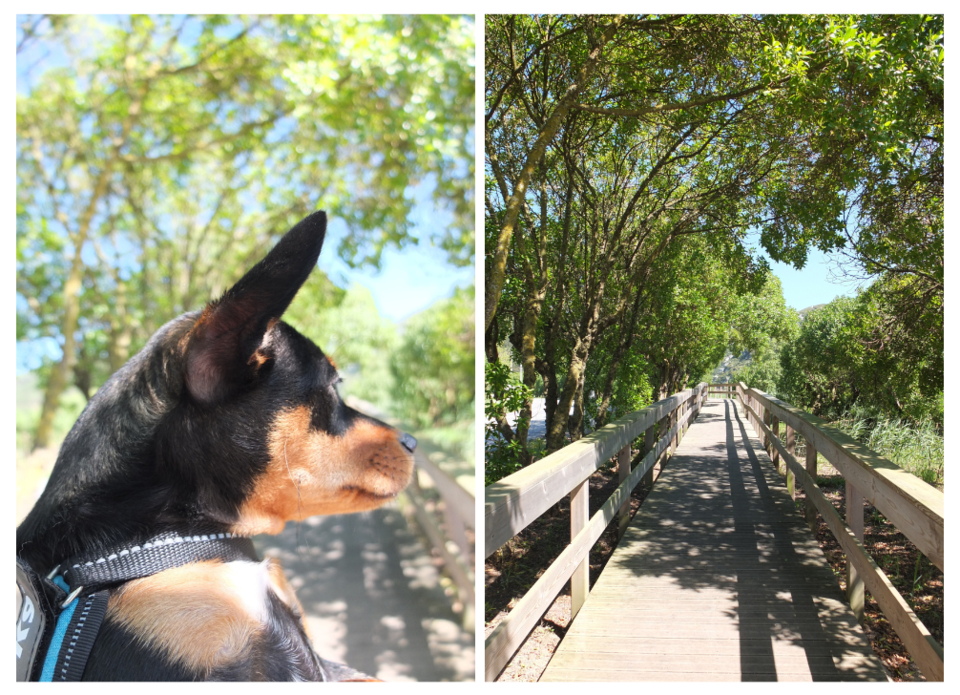 Design sem nome (2).png