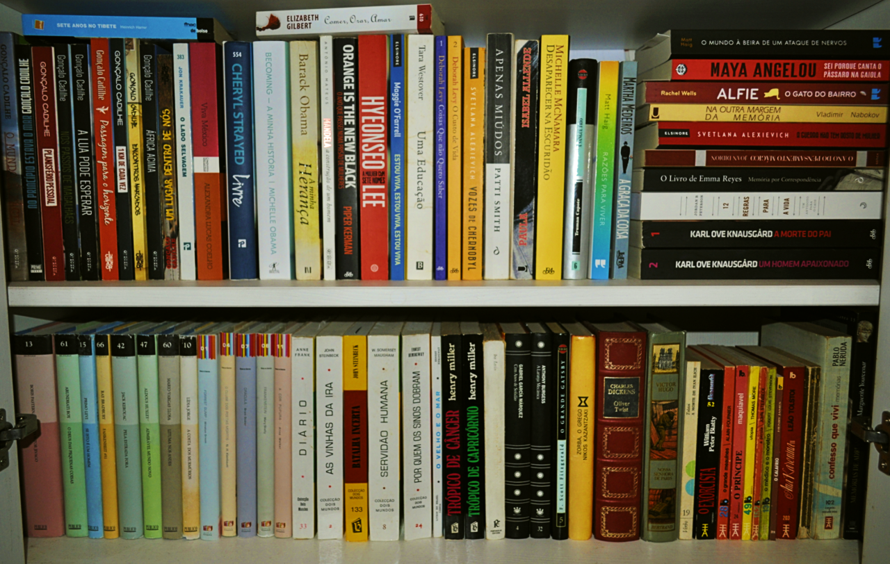 bookshelf-tour-mar-maio.png