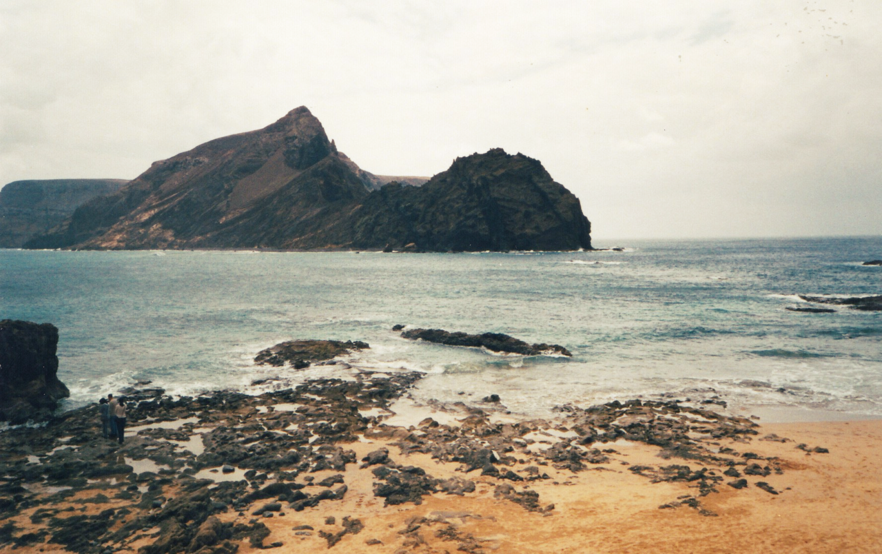 madeira-analogica-mar-maio.png madeira-analogica-mar-maio.png