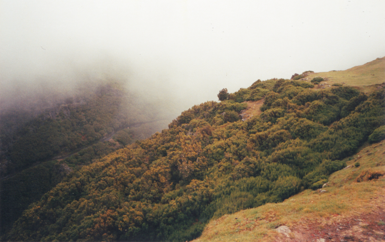 madeira-mar-maio.png madeira-mar-maio.png