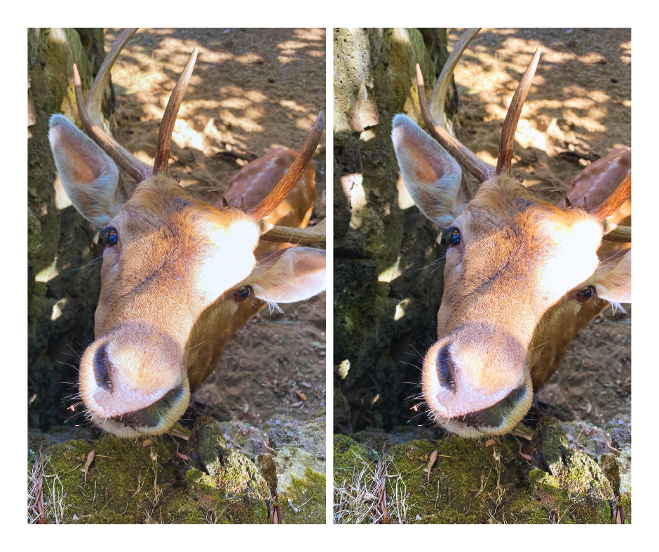 Design sem nome (7).png