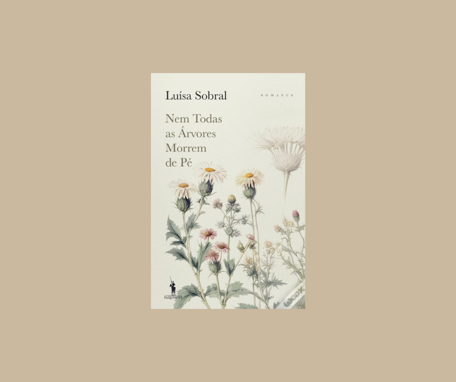 Design sem nome (2).png