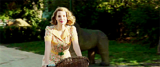 Resultado de imagem para the zookeeper's wife gif