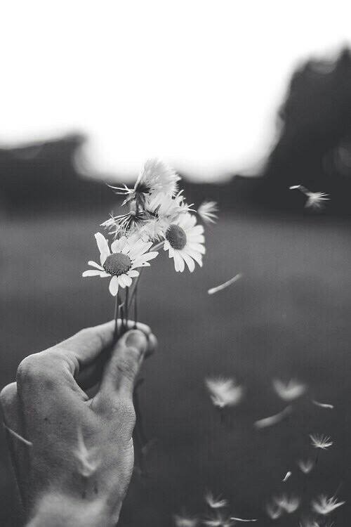 11046294_809048192509920_8511807215455870050_n.jpg 11046294_809048192509920_8511807215455870050_n.jpg