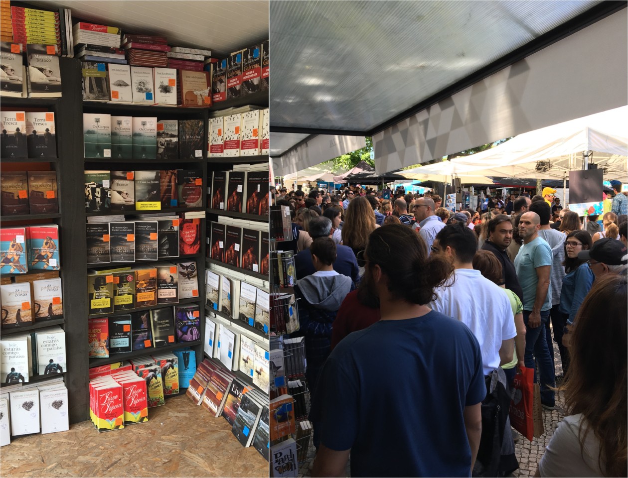 IMG_3615-horz.jpg IMG_3615-horz.jpg