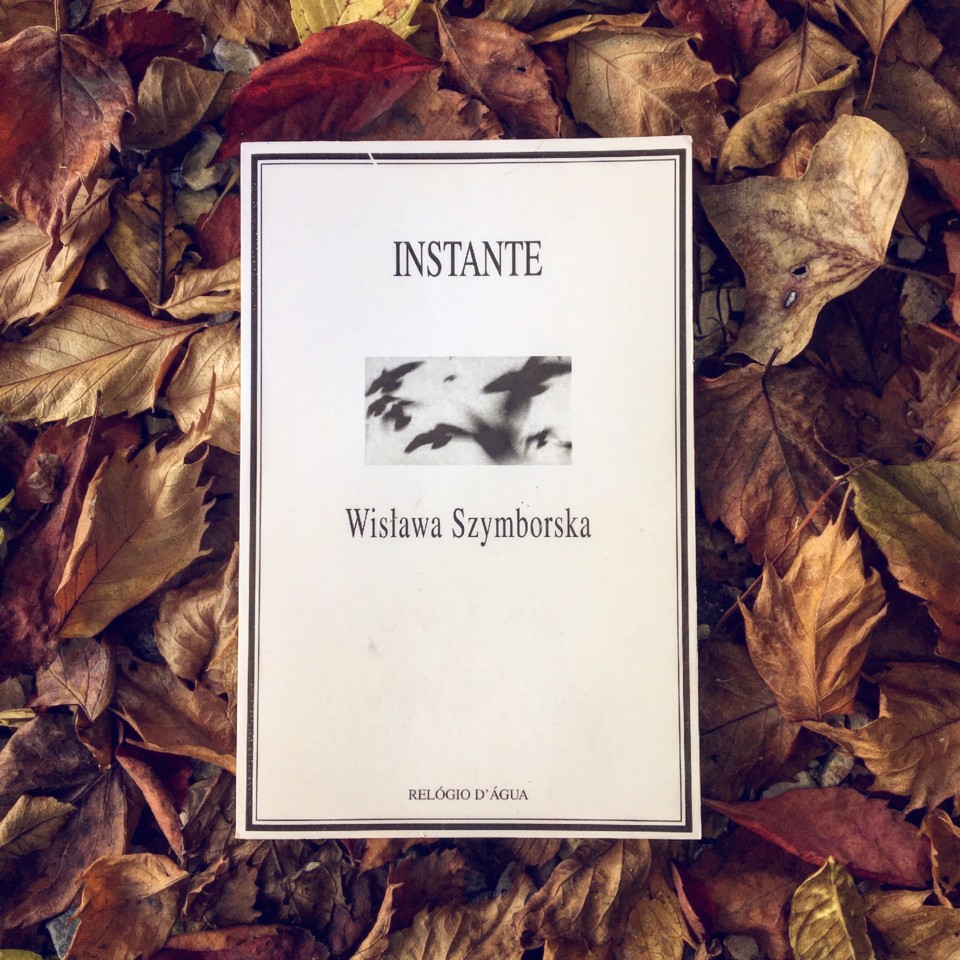 IMG_1017.JPG IMG_1017.JPG