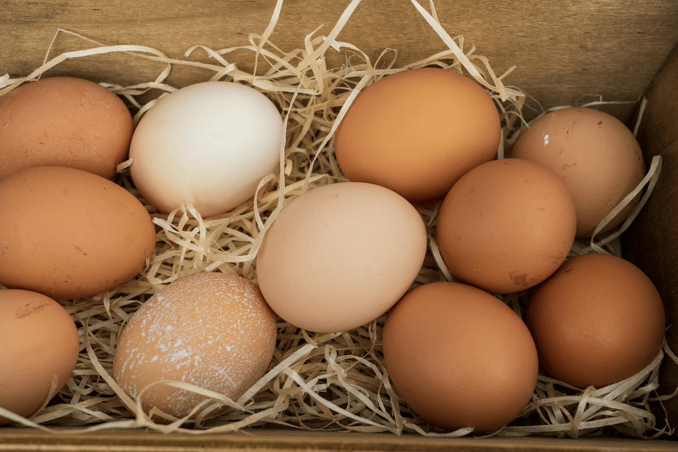 Photo of eggs in a basket