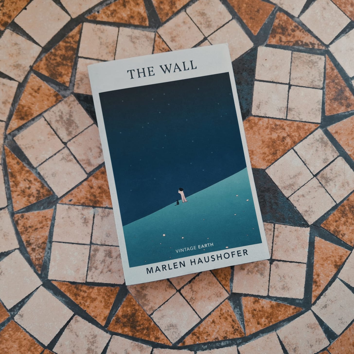 Capa do livro The Wall de Marlen Haushofer