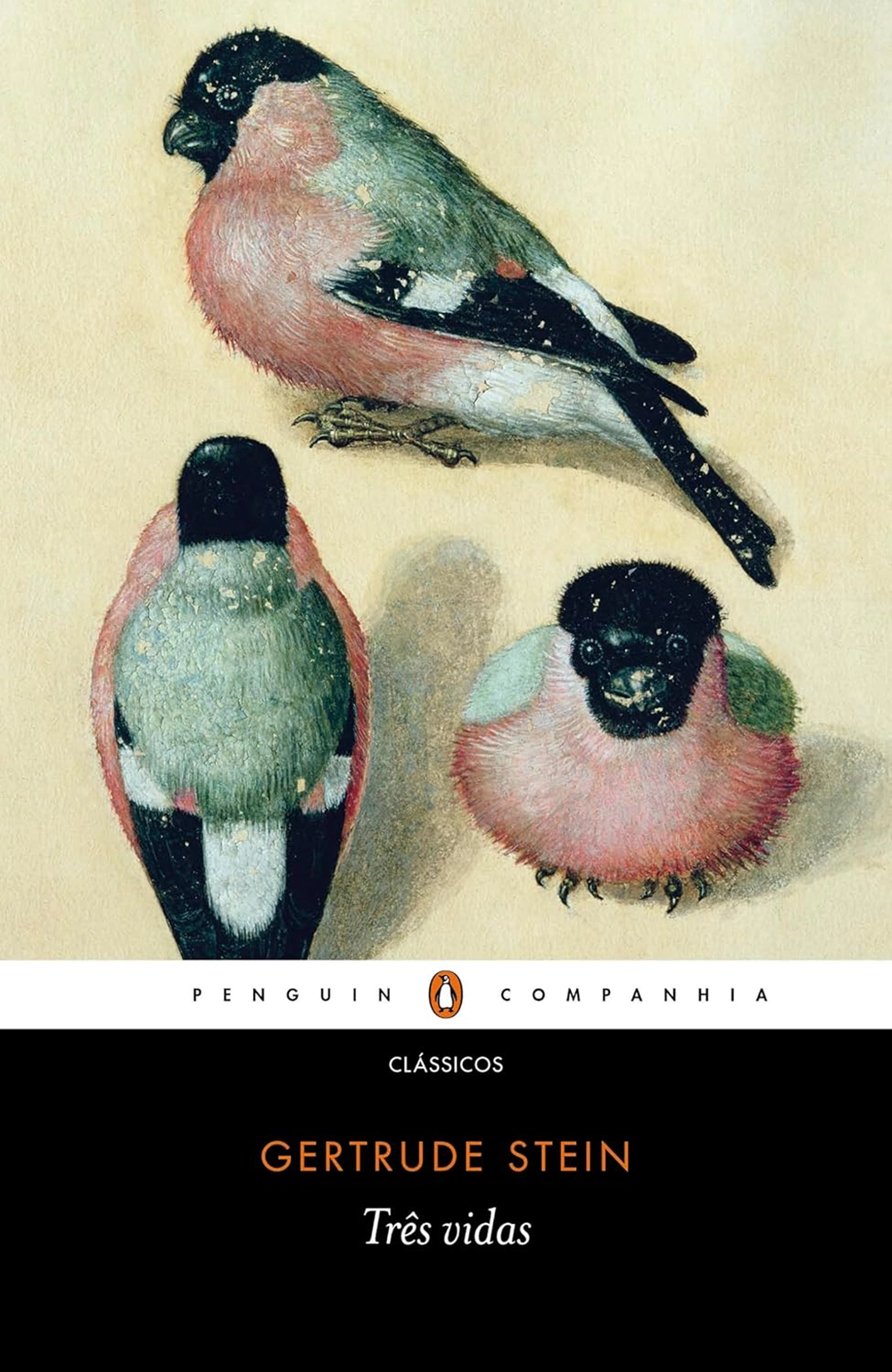 Capa do livro Três vidas de Gertrude Stein