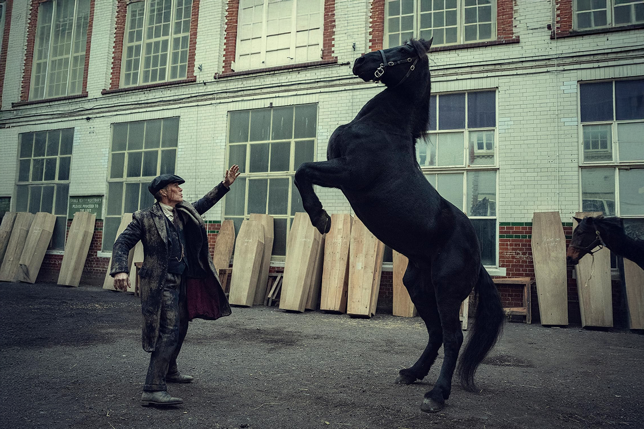 O filme mais aguardado de 2026: Cillian Murphy está de volta na Netflix em uma história que leva Peaky Blinders a um novo patamar