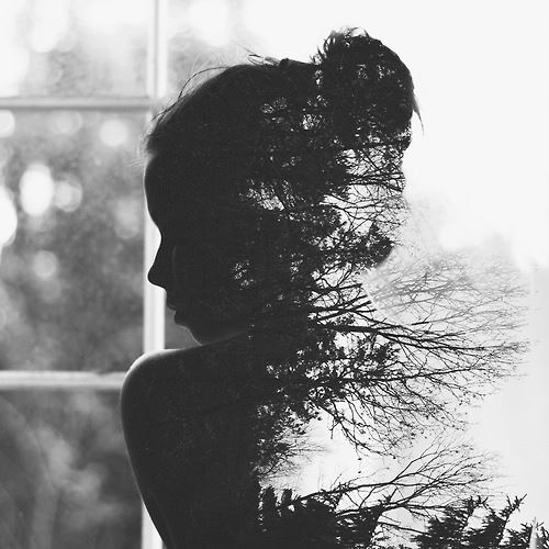 482842_489033744492184_237511927_n