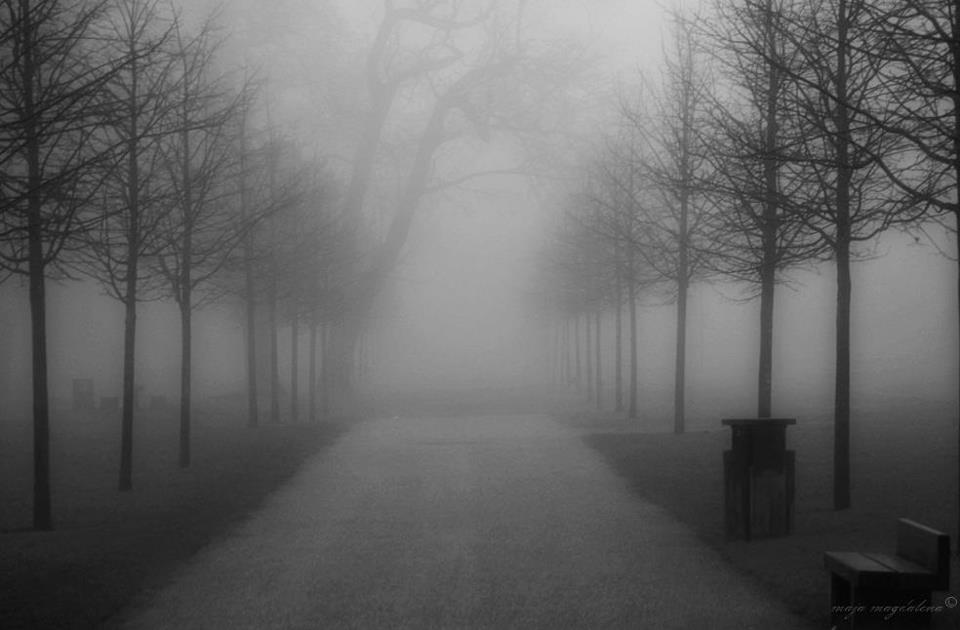 537704_435931916491561_1464389656_n