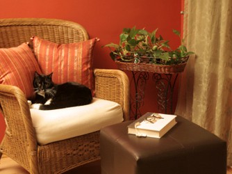 Gato na poltrona