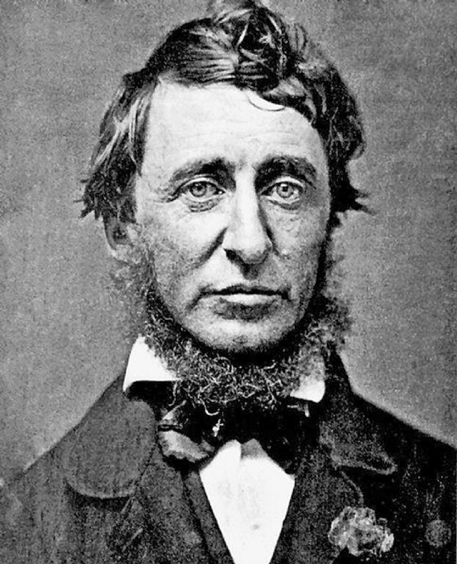Henry David ThoreauHenry David Thoreau