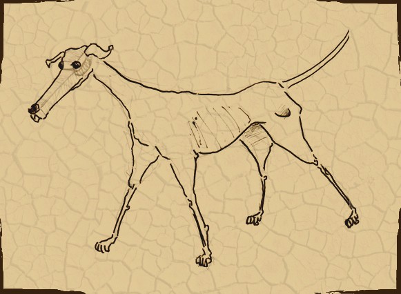 Baleia, em desenho do Deus Dará