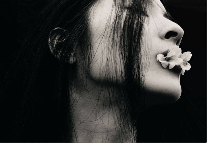 1475790_274144366072976_2119628208_n