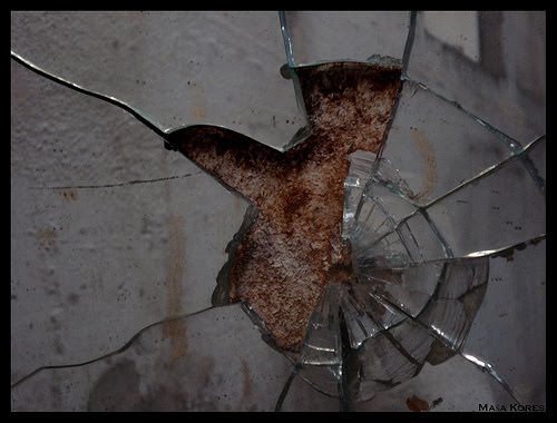 "Refletimos sobre as criaturas escondidas nos espelhos e seus segredos cristalinos. Conversamos sobre a imagem que Narciso viu no lago, se era o e seu reflexo ou centenas de versões, uma dentro de cada gota d'água. Ponderamos sobre a verdade contida nos espelhos, se esses objetos não aprisionariam os homens em somente uma faceta do real."