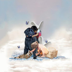Uma montagem artística ou ilustração fotográfica mostrando duas crianças abraçando um cachorro grande e preto e um gato sobre uma toalha nas nuvens, com borboletas ao redor.