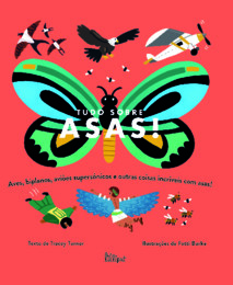 Tudos sobre Asas.jpg