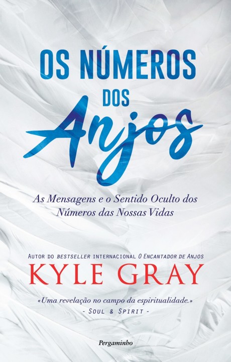 Capa_Os N�meros dos Anjos.jpg