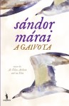 A Gaivota
