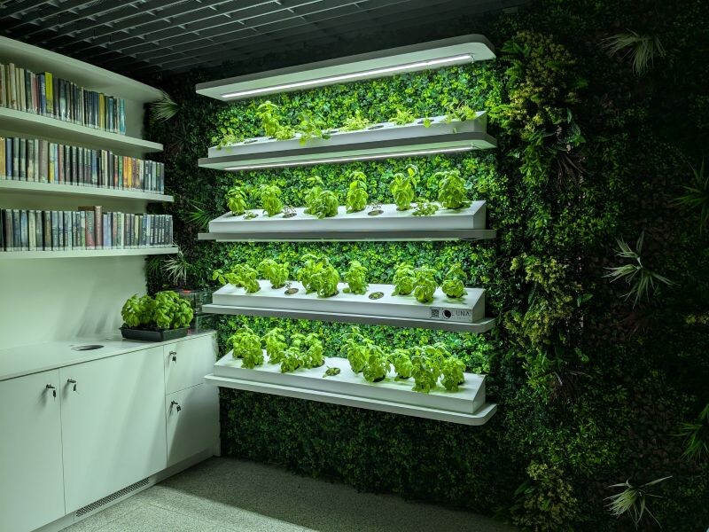 536282764_1223872189773785_2729072690346371883_n.j