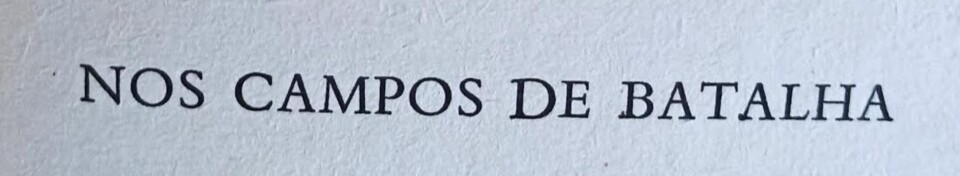 NOS CAMPOS 1 copia.jpg