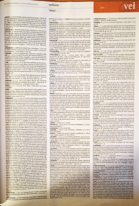 venábulo pp 2839.jpg