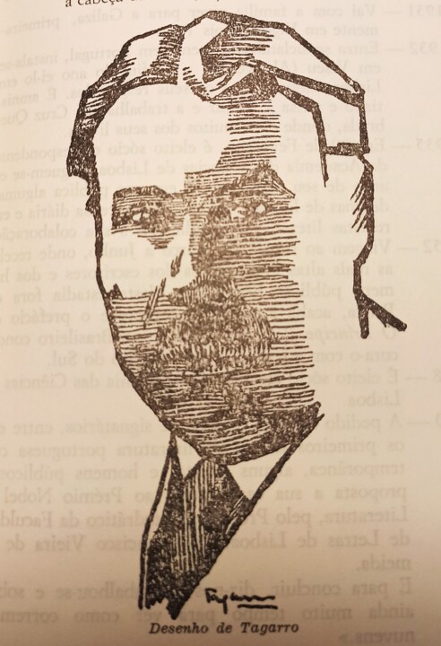 Desenho de José Tagarro.jpg