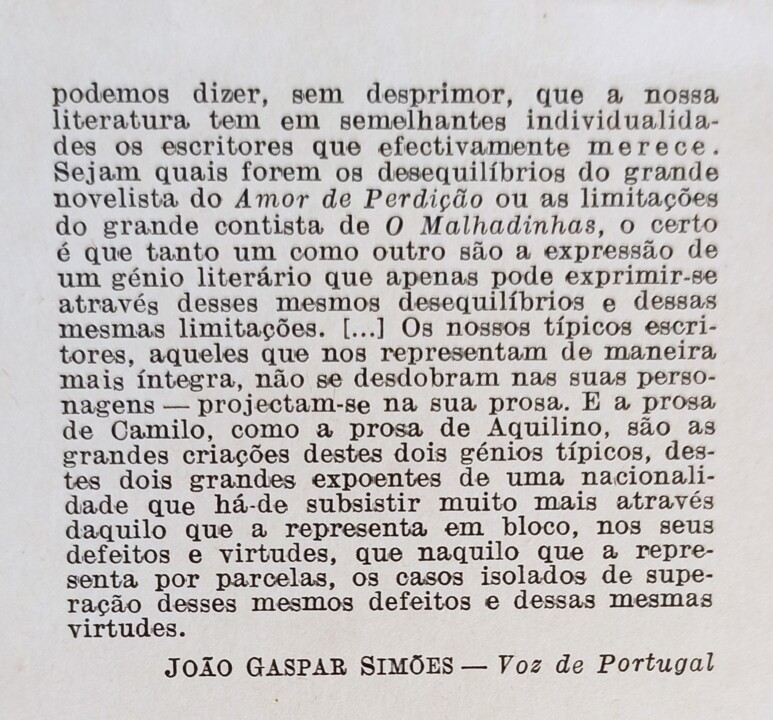 T3.3.2 CAMILO gaspar simoes.jpg