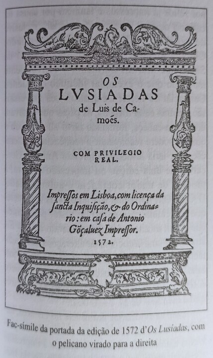 PELICANO direita 2.jpg