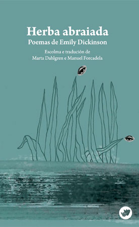 CUB_Herba-abraiada_web