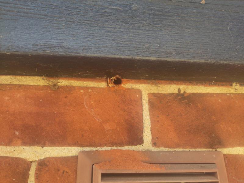 Photo of the hole on the outside, no blowing of the brick. The hole has come out just under some wood thats attached to the wall