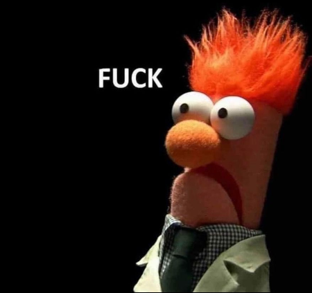 FUUUUUUUCKKKKK Anyway this is a picture of Beaker from the Muppets. He looks shocked and the word simply says Fuck