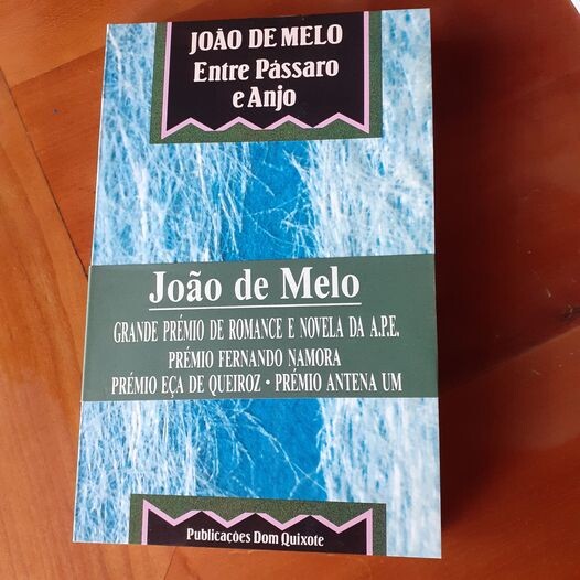 Entre Pássaro e Anjo.jpg