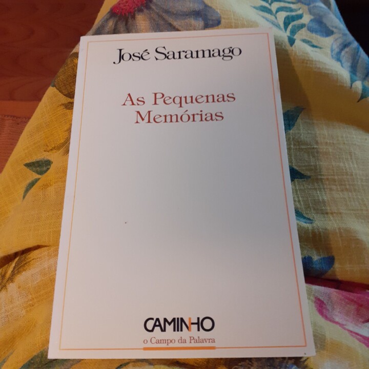 As Pequenas Memórias.jpg