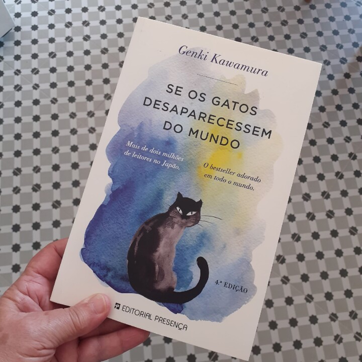 Se os Gatos desaparecessem do Mundo.jpg