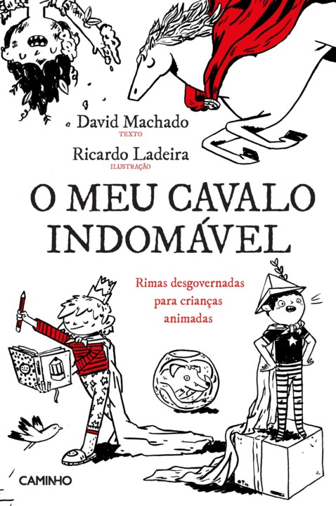 9789722131131_o_meu_cavalo_indomavel.jpg