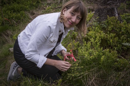 000-pz6c3.jpg 000-pz6c3.jpg