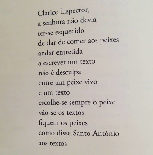 48059705_10155715676421786_1949891323905441792_n.j